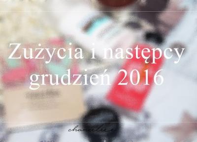 Zużycia i następcy - grudzień 2016 | Chanceleee