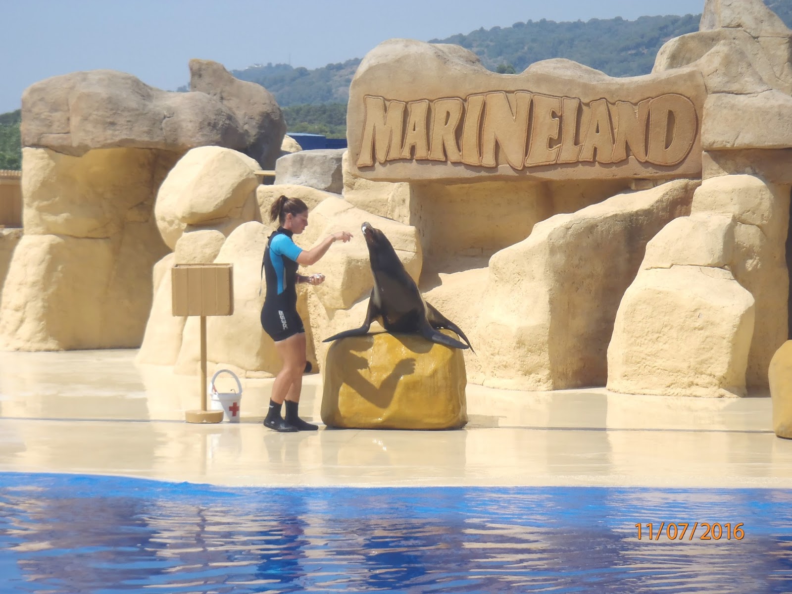 uroda cieszy tylko oczy dobroć jest wartością trwałą: Marineland czyli podwodne królestwo 