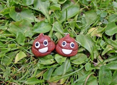 Kolczyki poop emoij DIY