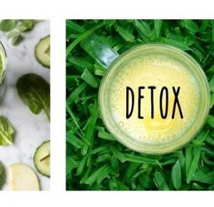 The foxy diet: NAJLESZY DETOX