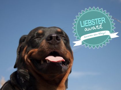 Liebster Blog Award!