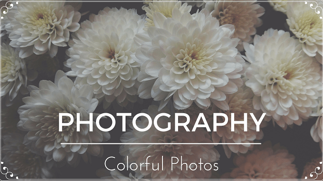 #2 PHOTOGRAPHY - Colorful Photos | Bette Fashion