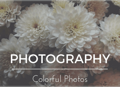 #2 PHOTOGRAPHY - Colorful Photos | Bette Fashion