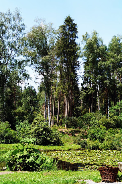 Dookola-swiata: Park Seleger Moor, czyli czy warto zapłacić za kontakt z naturą?