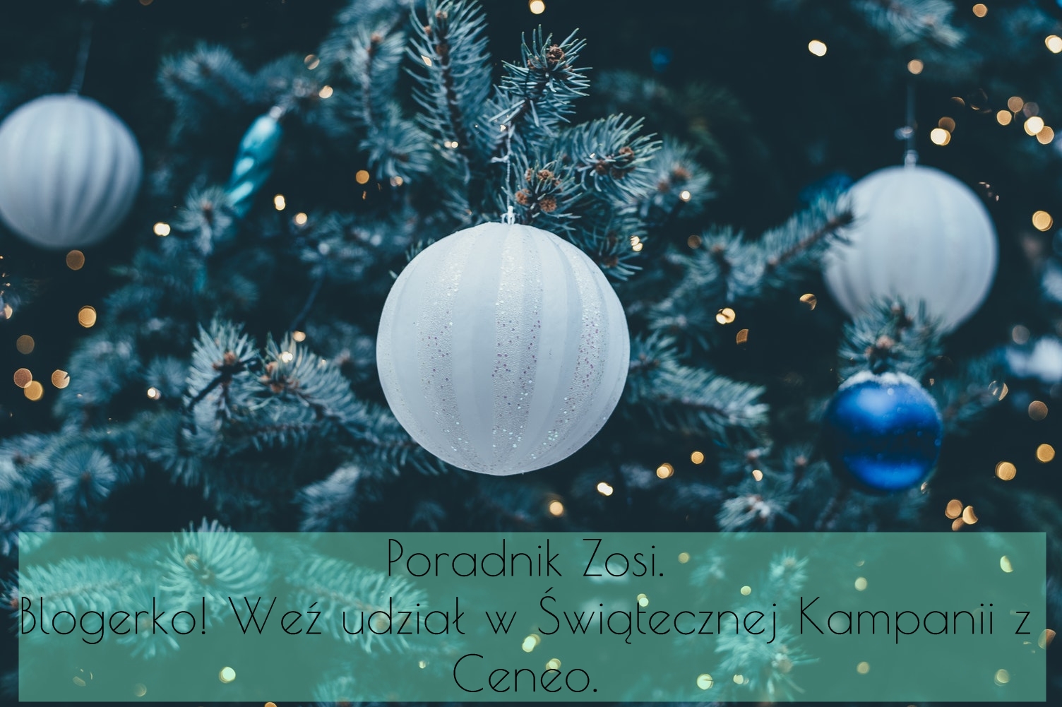 Dorota Pisze.pl: Poradnik Zosi. Blogerko! Weź udział w Świątecznej Kampanii z Ceneo.