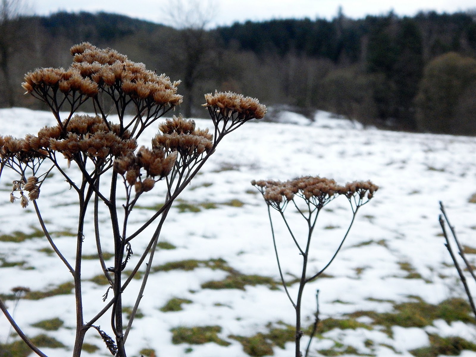 Be Different: Desing bloga: pasek zakładek (poziomy)