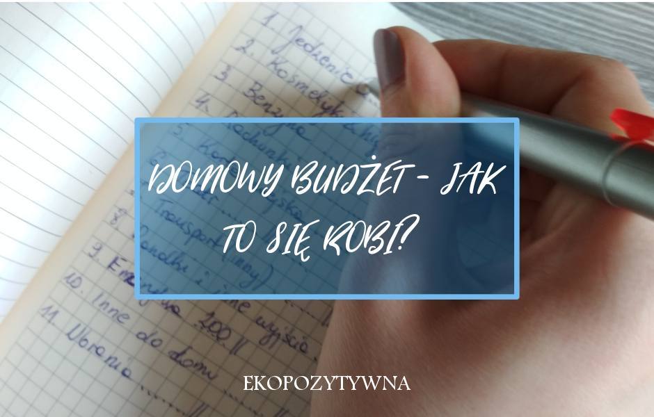 Finansowe zmagania: Jak stworzyć budżet domowy? | ekopozytywna