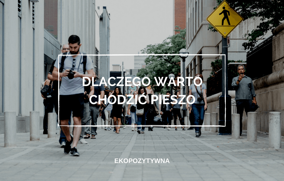 17 powodów, dla których warto… chodzić pieszo | ekopozytywna