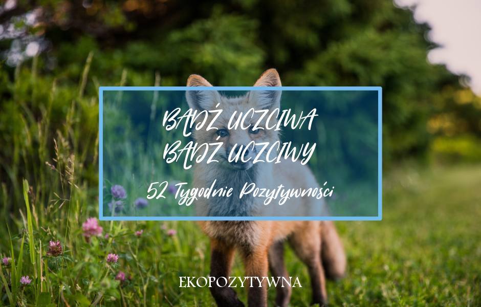 Bądź uczciwa, bądź uczciwy | 52 Tygodnie Pozytywności | ekopozytywna