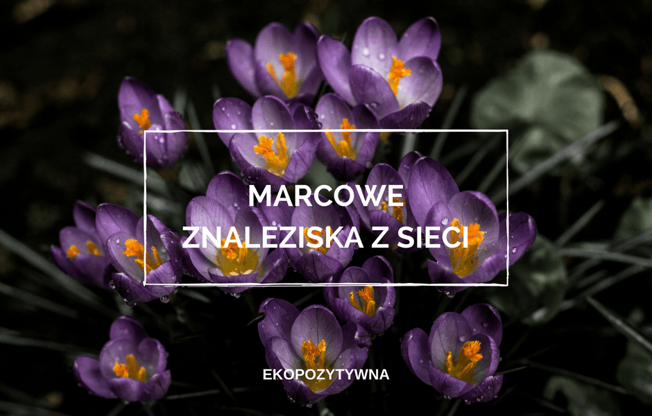 Marcowe znaleziska z sieci | ekopozytywna