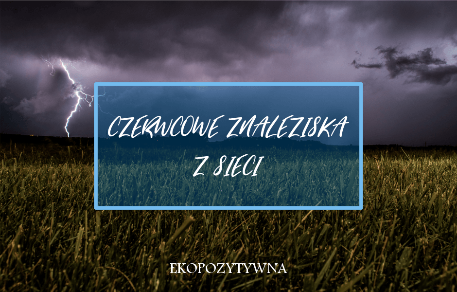 Czerwcowe znaleziska z sieci - ekopozytywna