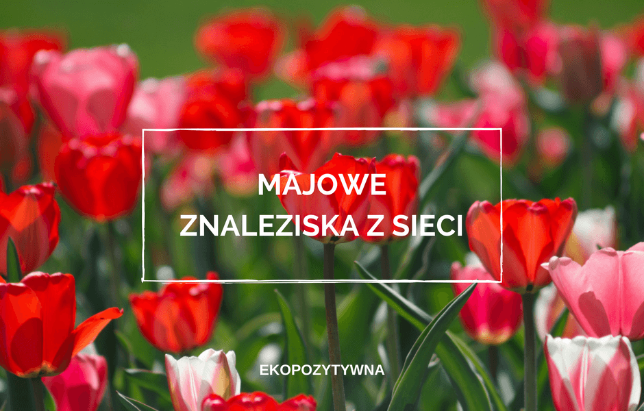 Majowe znaleziska z sieci | ekopozytywna