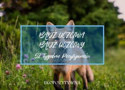 Bądź uczciwa, bądź uczciwy | 52 Tygodnie Pozytywności | ekopozytywna