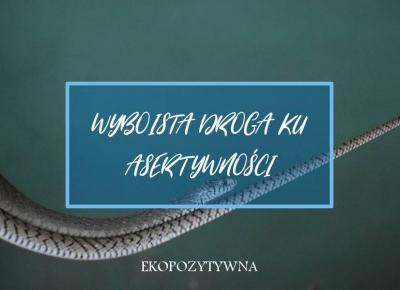 Wyboista droga do asertywności | 5 wyzwań | ekopozytywna