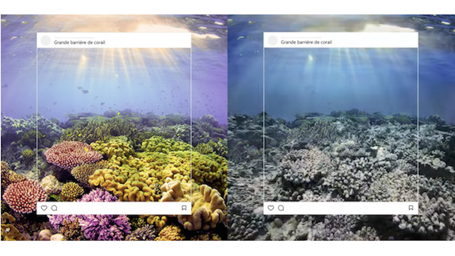 Co kryje się za perfekcyjnymi zdjęciami krajobrazów z Instagrama? WWF pokazuje prawdę