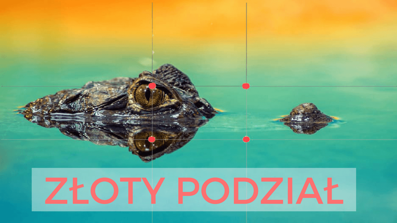 Kompozycja - złoty podział w fotografii | Psychologia fotografii