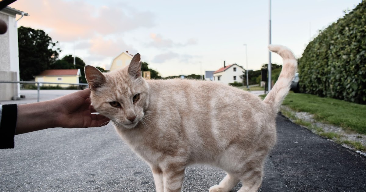 Oczy Outsidera: Odosobniona