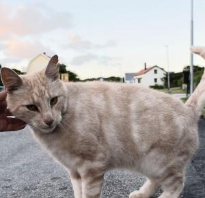 Oczy Outsidera: Odosobniona