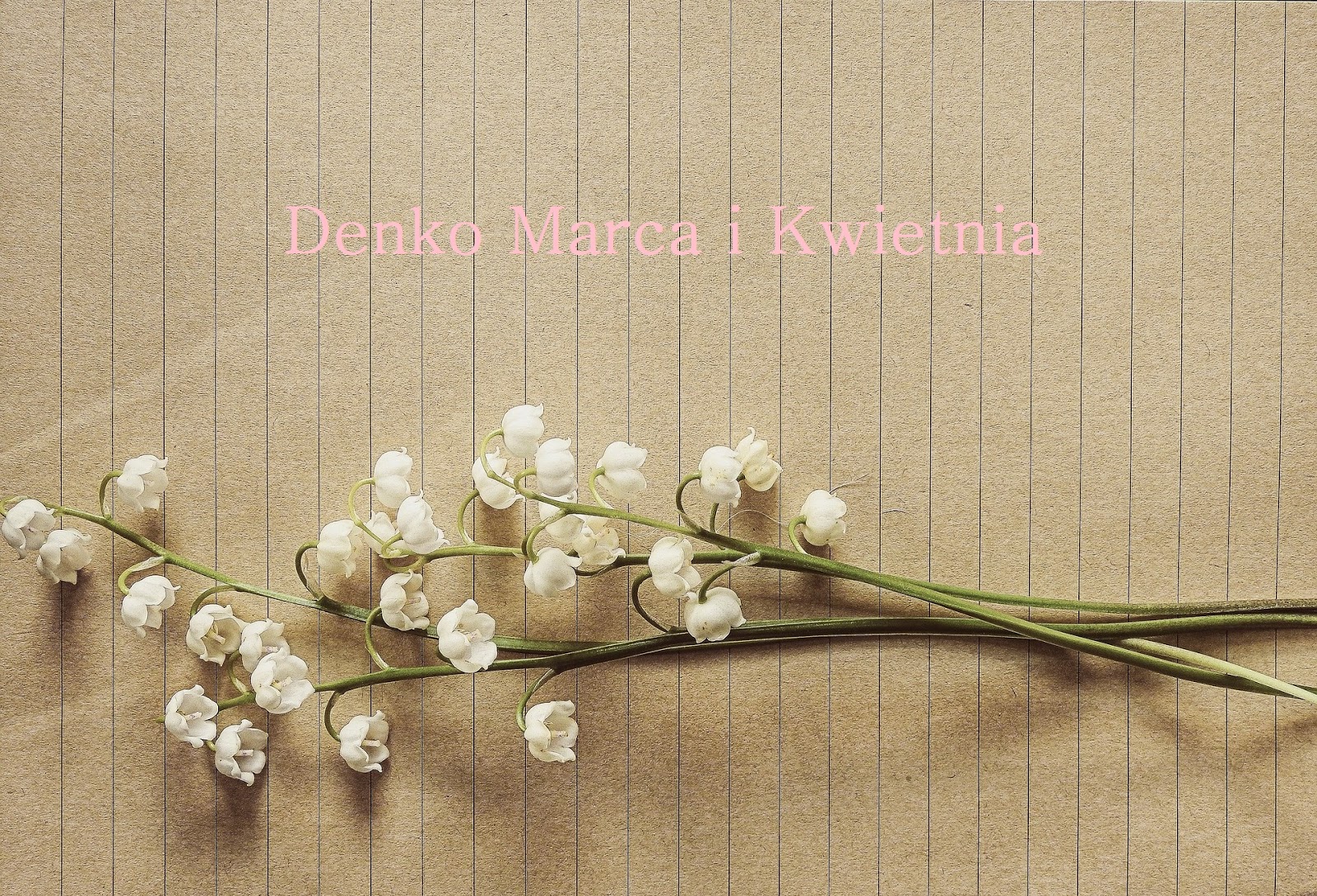 acne skin: Denko Marca i Kwietnia (111)