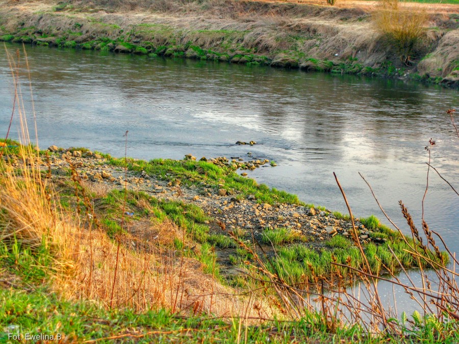 Wiosenny spacer nad rzeką ☺