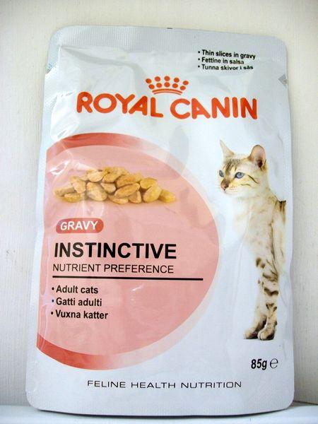 Testowanie karmy Royal Canin Gravy Kitten Instinctive w sosie | Dorabiaj przez Internet