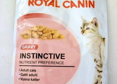 Testowanie karmy Royal Canin Gravy Kitten Instinctive w sosie | Dorabiaj przez Internet