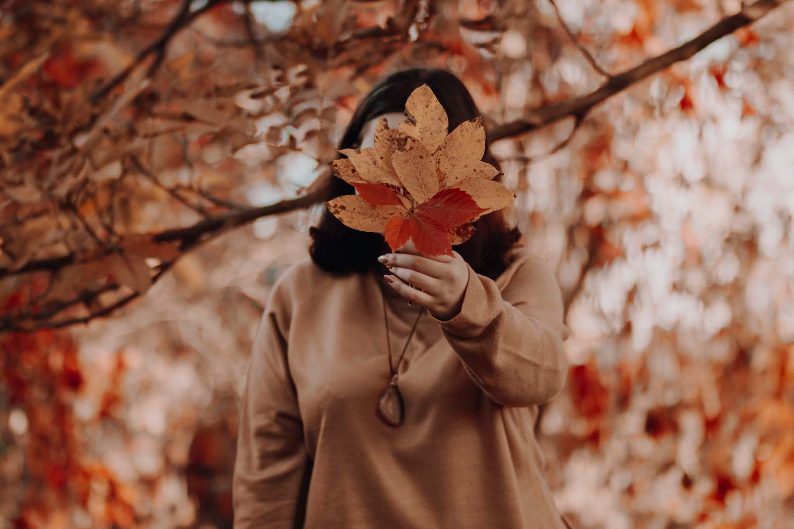 POGADANKA JESIENNA  | Lifestyle  | FotoHart