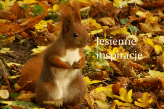 Jesienne inspiracje. - MyJustyWorld