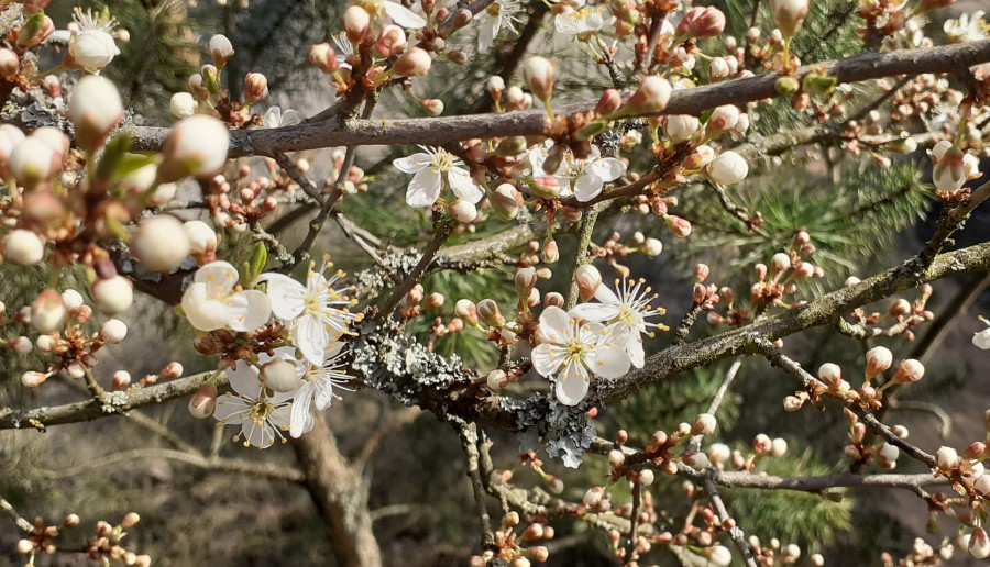 Chwila wytchnienia dla oczu i umysłu:)