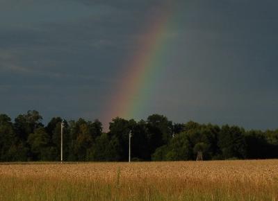 Grorący letni dzień...