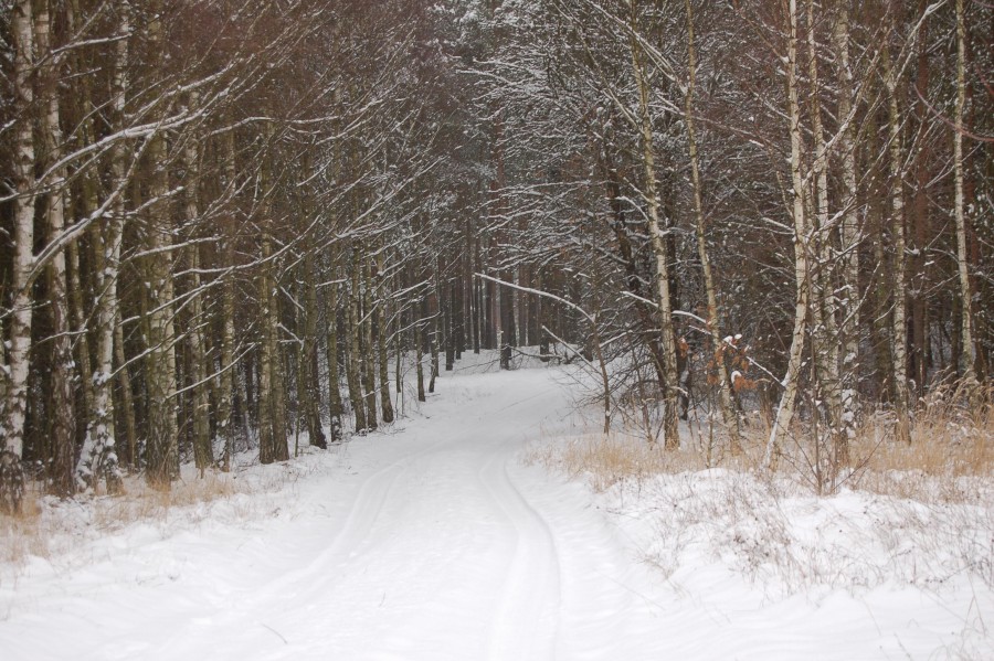 Śniegowo...