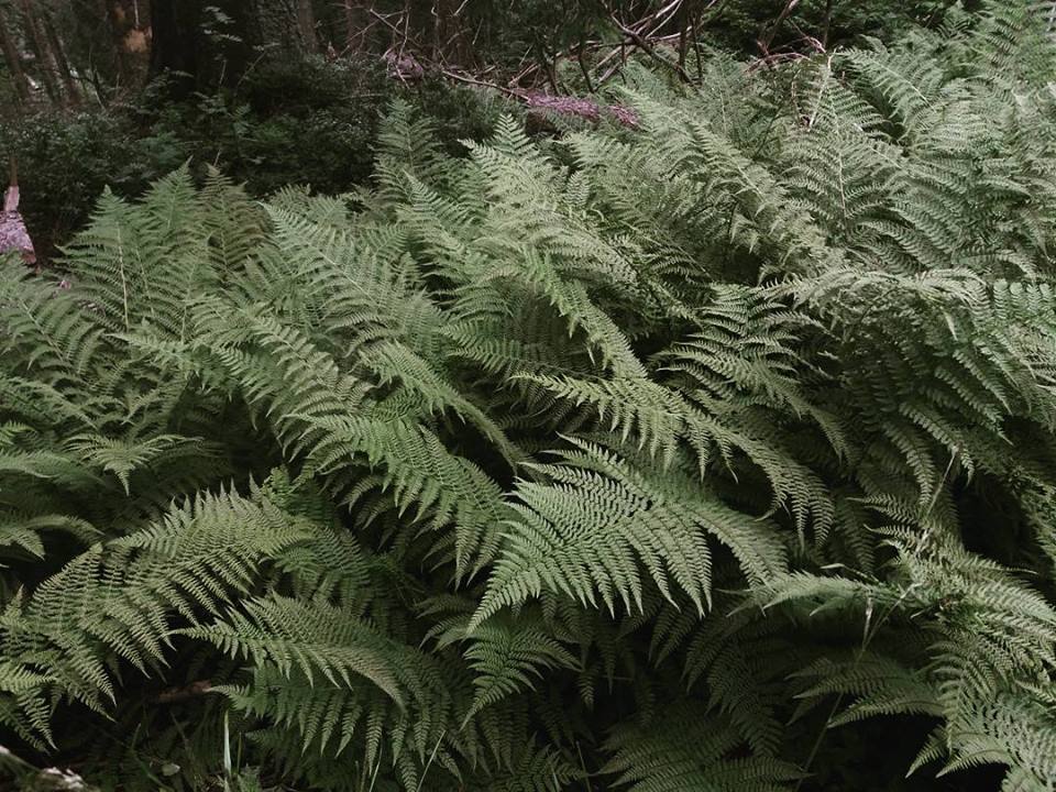 Podsumowanie lipca - kosmetyki, nowości i ulubieńcy 