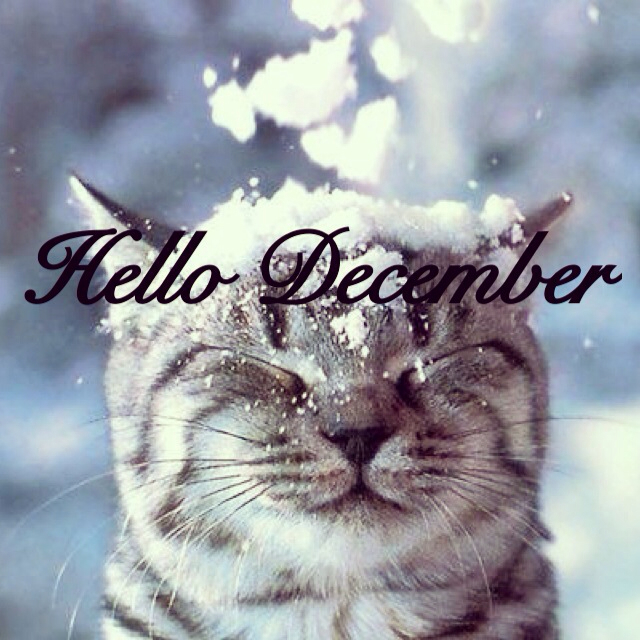 Ayuna: Hello December, Hello Winter!