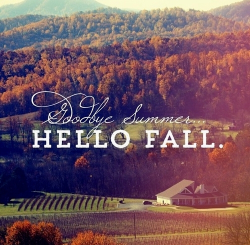 Ayuna: Goodbye summer, hello fall | Rosegal haul.