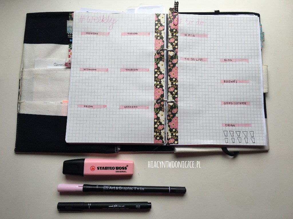 Bullet Journal dla początkujących - poradnik | Hiacynt w doniczce