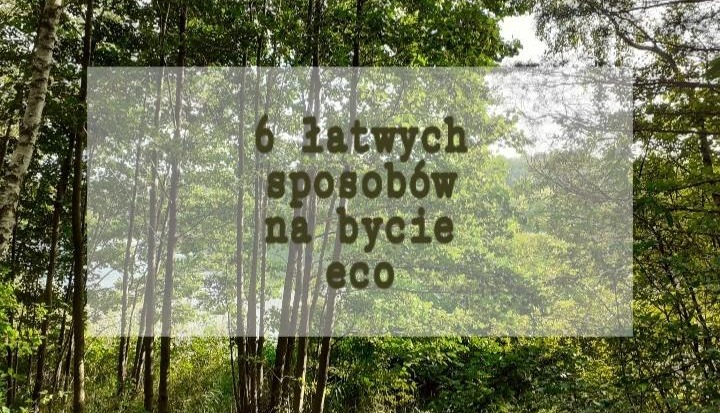 6 łatwych sposobów na bycie ECO