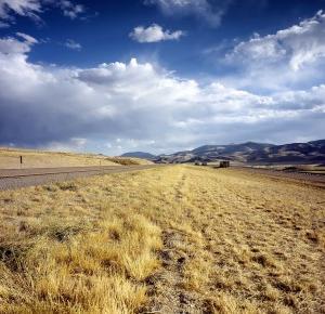 6 powodów, dla których nie warto mieszkać na wsi