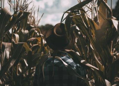 Szukasz filmu? - ielgrey.pl