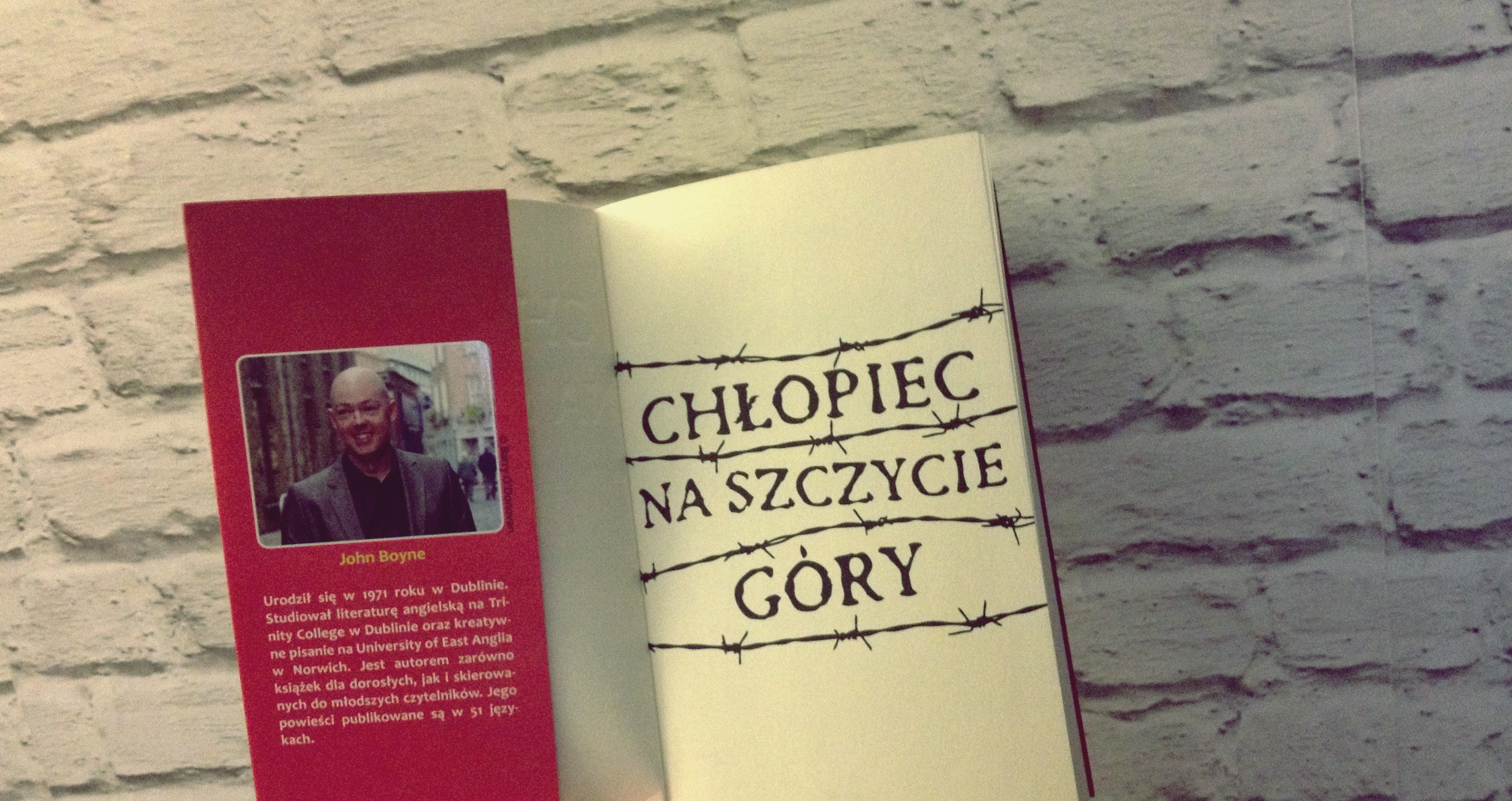 Chłopiec na szczycie góry | John Boyne - ielgrey.pl