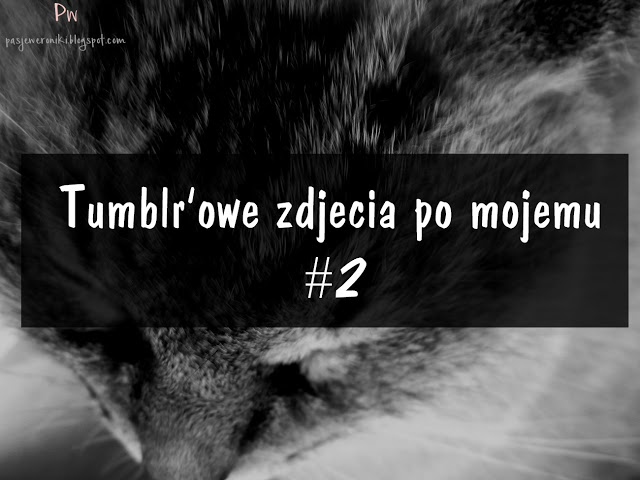 Pasje Weroniki: Tumblr'owe zdjęcia po mojemu #2