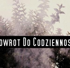 Pasje Weroniki: Powrót do codzienności