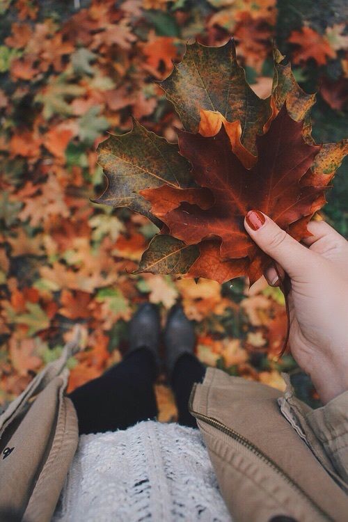 dlaczego lubię jesień + jesienne inspiracje – it's me MAGDA