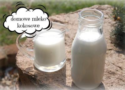 Jak zrobić domowe mleko kokosowe. Hit! – Przepisy