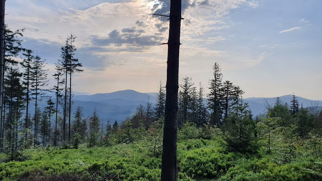 Beskid Śląski - nasze ulubione miejsce na Ziemi ~ Pozycje Obowiązkowe