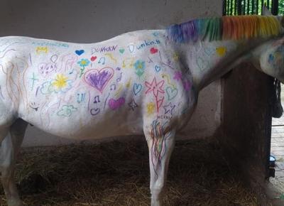 Dzieci pomalowały konia kredkami... Stajnia nie widzi w tym niczego złego.