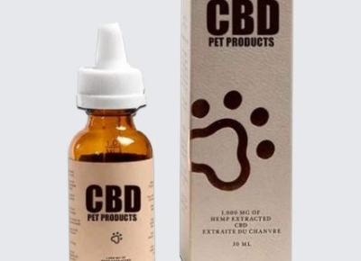 CBD Packaging Options for Your Custom Boxes Solution