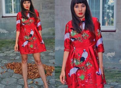 Jointy&Croissanty: oriental embroidery dress