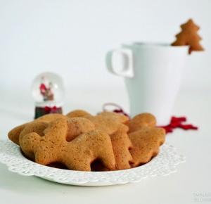 Smallerdream: Gingerbread 