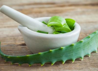 Aloes - Roślina działająca cuda. Poznaj jego właśćiwości.