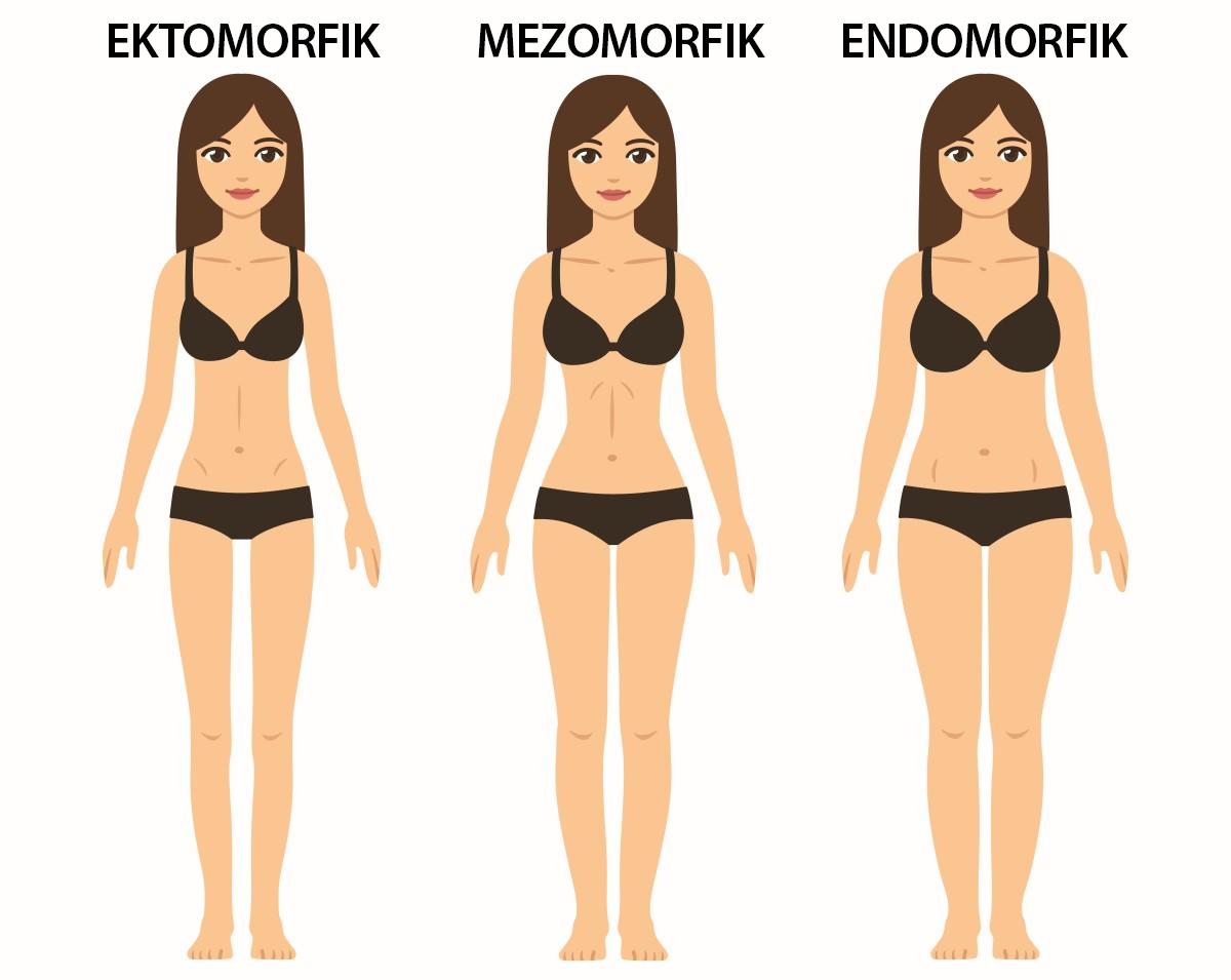 Ektomorfik, endomorfik i mezomorfik – poznaj typy budowy ciała! - Odchudzanie - Polki.pl